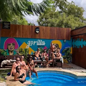 Gorilla Albergue